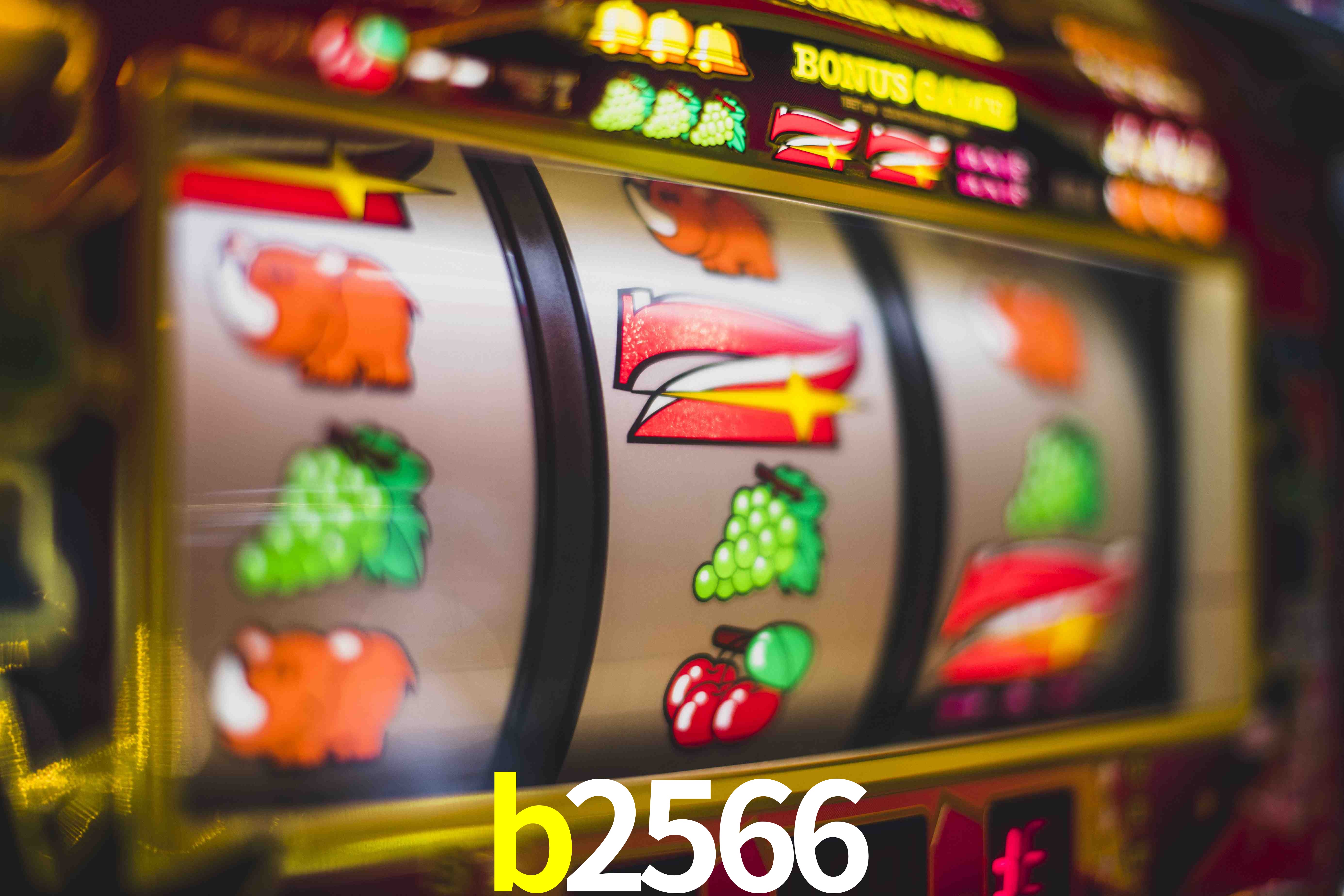 Sports Statistics b2566